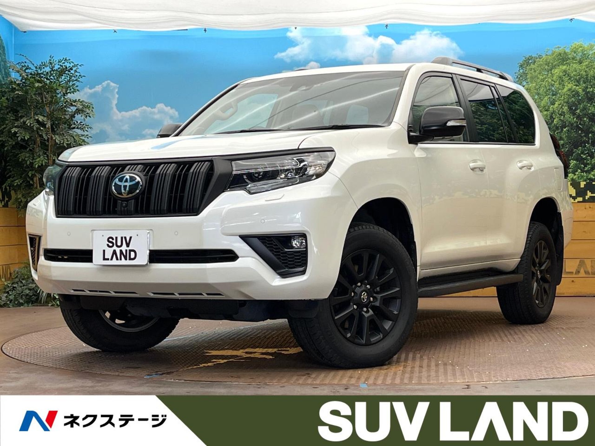 TOYOTA LAND CRUISER PRADO - View 1