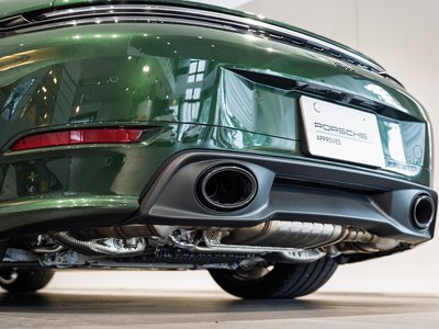 2025 Porsche 911 缩略图 12