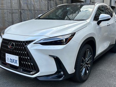 LEXUS NX - 1
