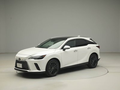 LEXUS RX - 10
