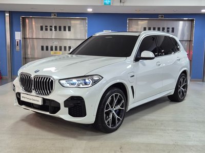 BMW X5 - 1