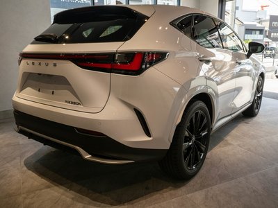 2023 Lexus NX 缩略图 14