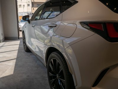 2023 Lexus NX 缩略图 12
