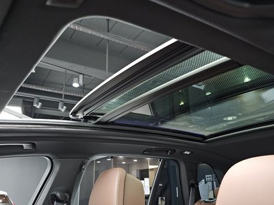 صورة مصغرة 29 لـ 2025 BMW X5