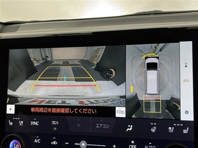 2024 Toyota ALPHARD 缩略图 11