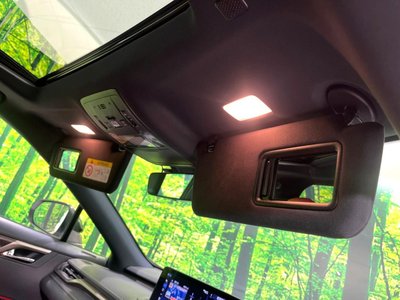 2022 Lexus RX thumbnail 29