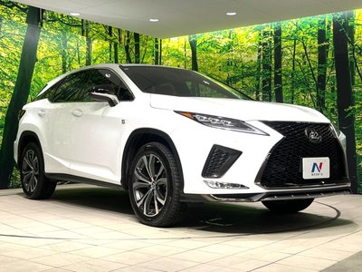 2022 Lexus RX thumbnail 18