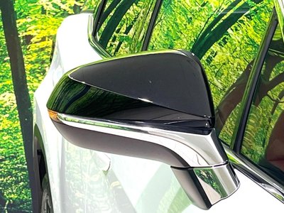 2022 Lexus RX thumbnail 71