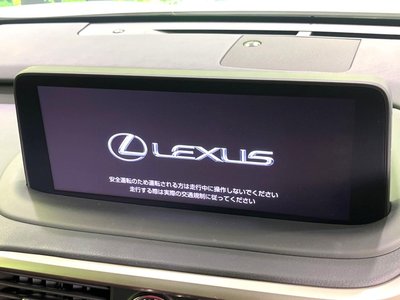 2022 Lexus RX thumbnail 30