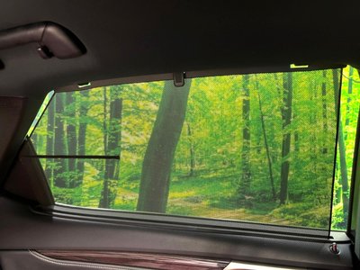 2022 Lexus RX thumbnail 63