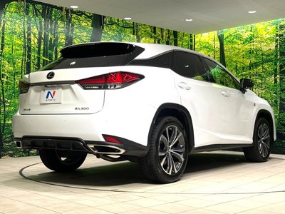 2022 Lexus RX thumbnail 19