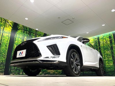2022 Lexus RX thumbnail 77