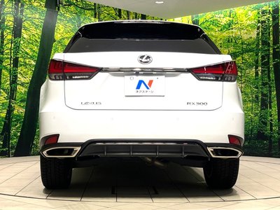 2022 Lexus RX thumbnail 17