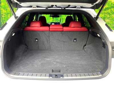2022 Lexus RX thumbnail 67