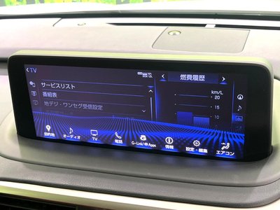 2022 Lexus RX thumbnail 31