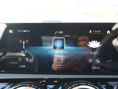 2019 Mercedes-BENZ A-CLASS AMG — миниатюра 12