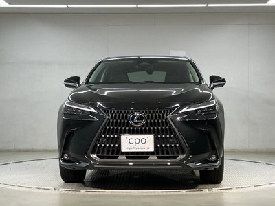2023 Lexus NX 照片 2