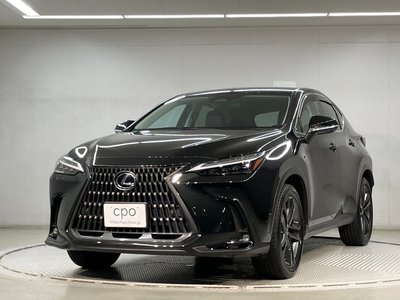 2023 Lexus NX 照片 1