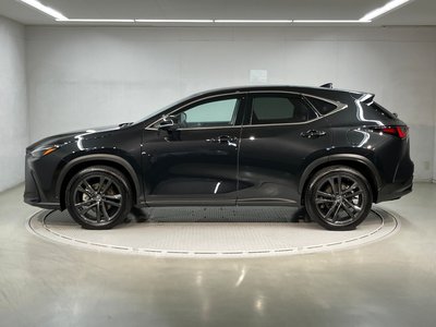 2023 Lexus NX 照片 4