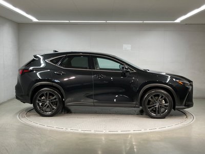 2023 Lexus NX 照片 3