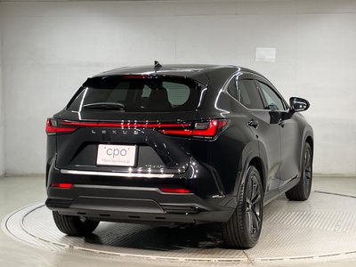 2023 Lexus NX 照片 5