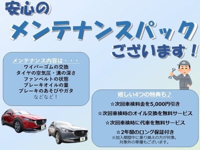 2025 Toyota ALPHARD 缩略图 25