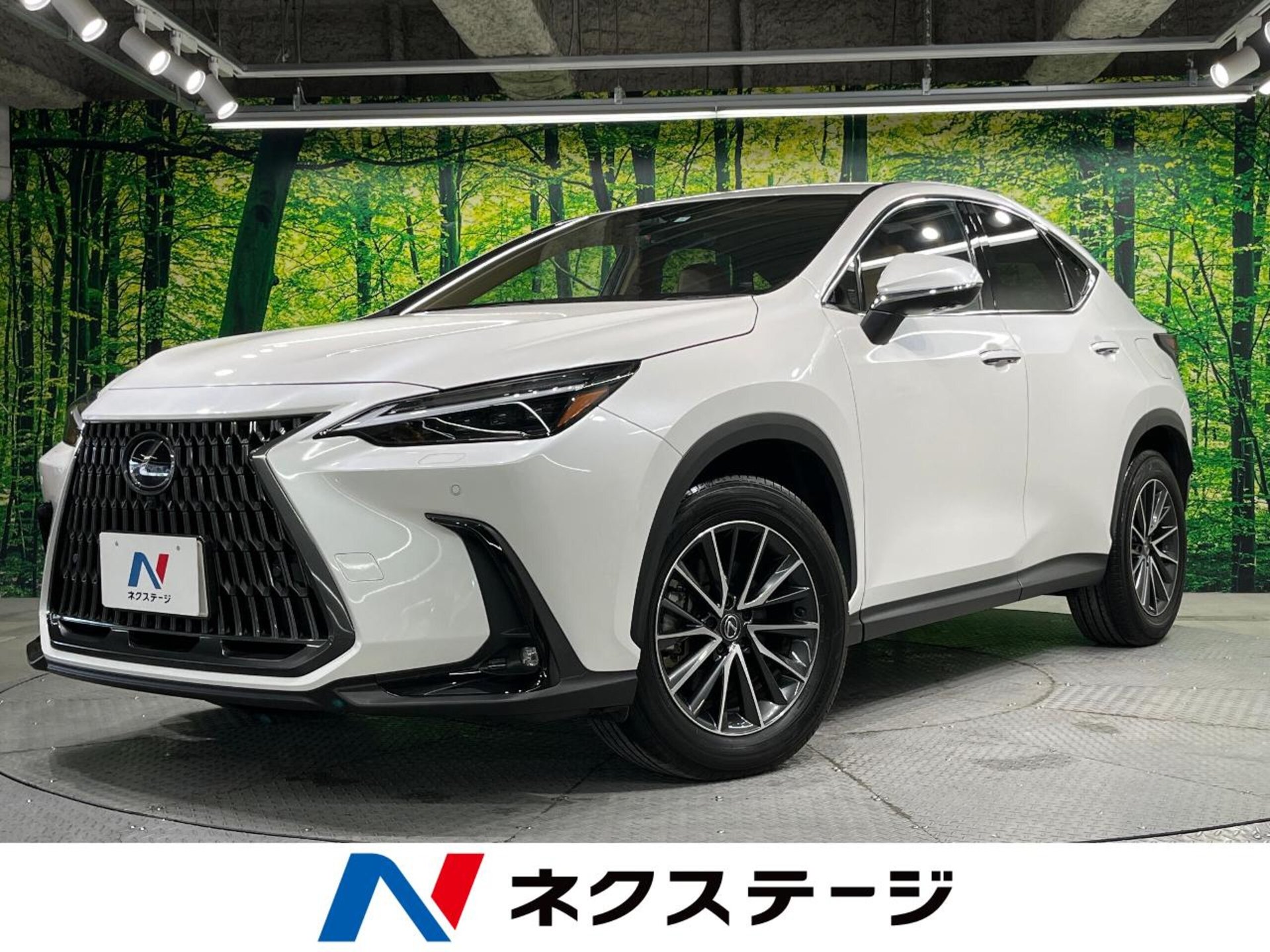 LEXUS NX - View 1