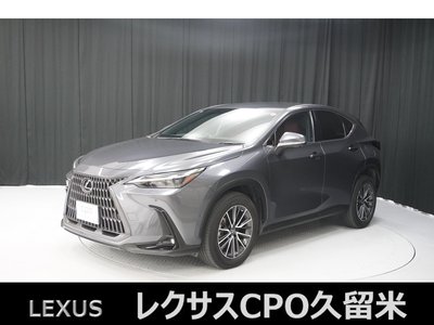 2022 Lexus NX — фото 1