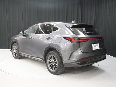 2022 Lexus NX — фото 4