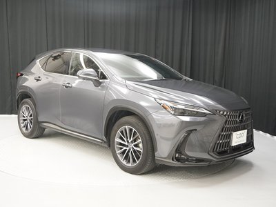 2022 Lexus NX — фото 7