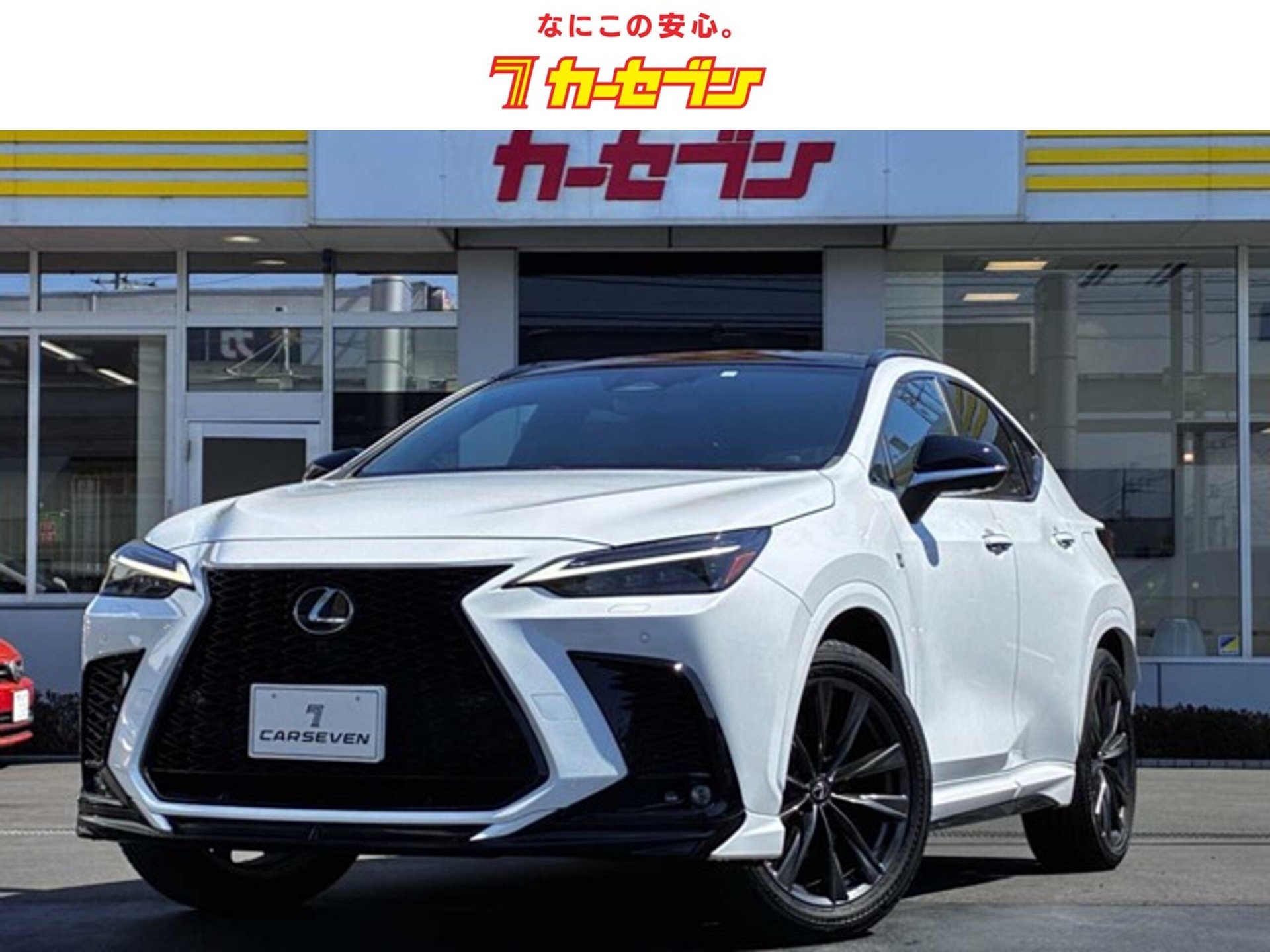 LEXUS NX - View 1