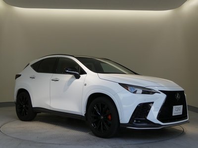 2023 Lexus NX — миниатюра 22