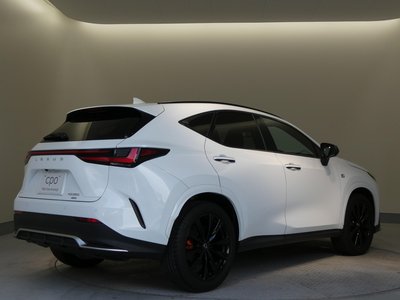 2023 Lexus NX — миниатюра 39