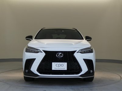 2023 Lexus NX — миниатюра 15