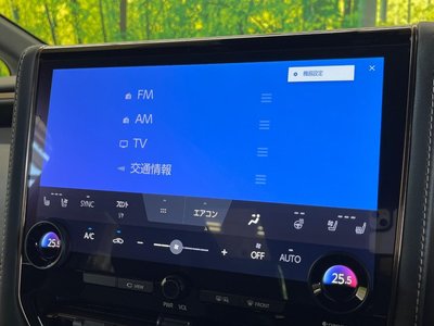 2025 Toyota ALPHARD — миниатюра 24