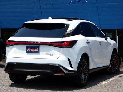 2025 Lexus RX — миниатюра 17