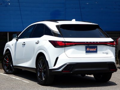 2025 Lexus RX — миниатюра 22