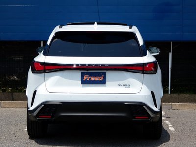 2025 Lexus RX — миниатюра 9