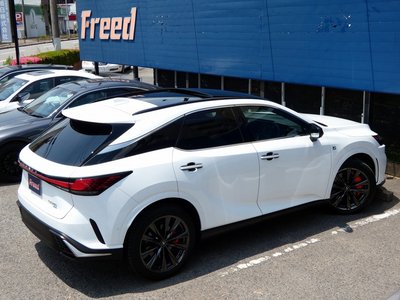 2025 Lexus RX — миниатюра 120