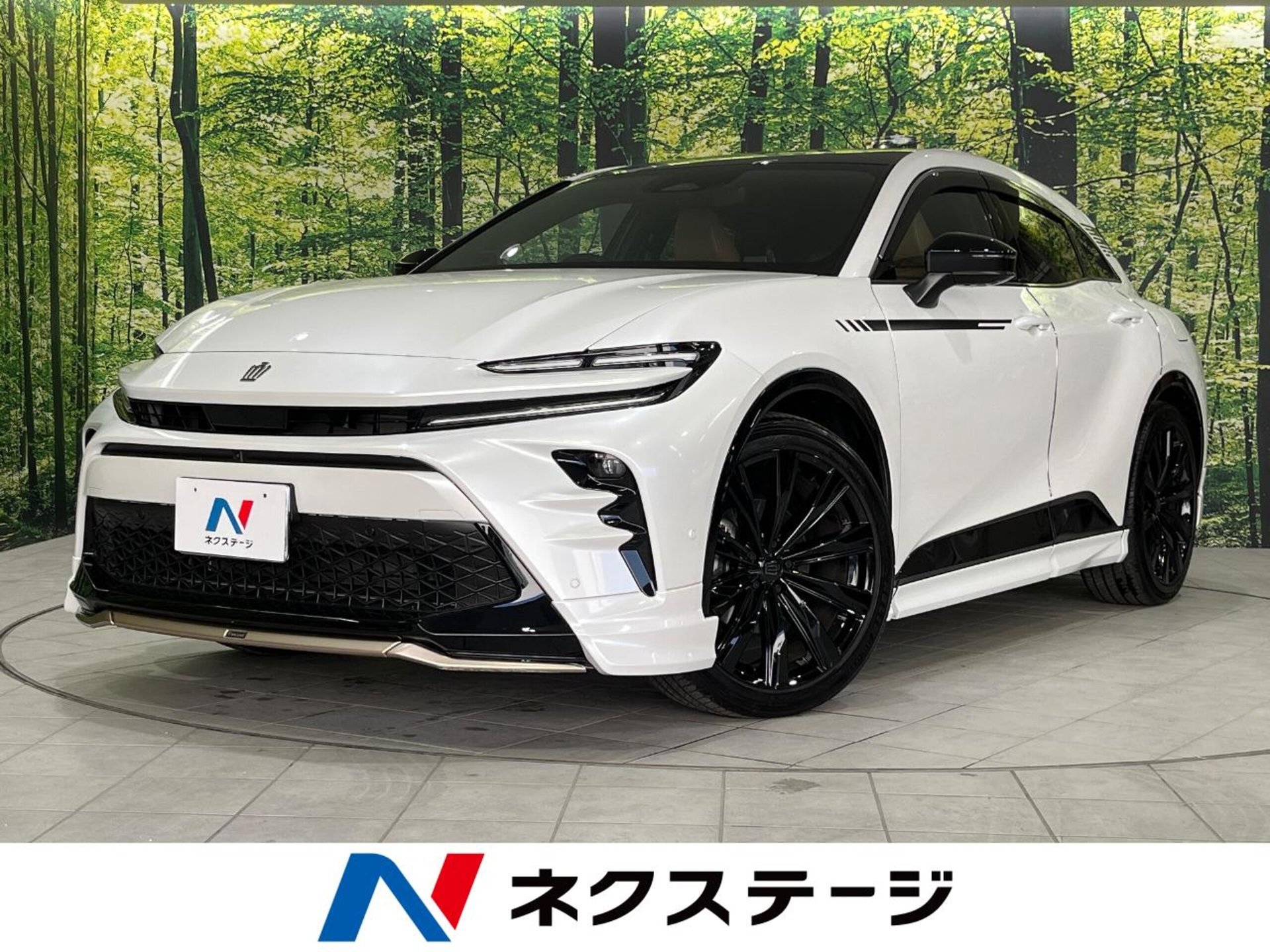 TOYOTA CROWN SPORT - View 1