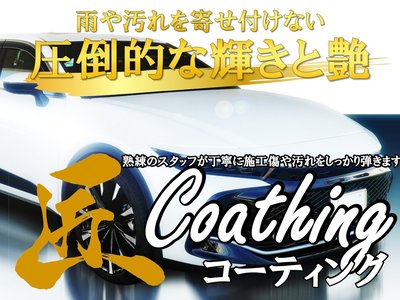 2017 Lexus LC 缩略图 20