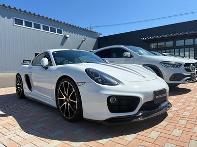 2014 Porsche CAYMAN 照片 3