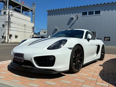 2014 Porsche CAYMAN 照片 1