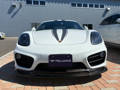 2014 Porsche CAYMAN 照片 2