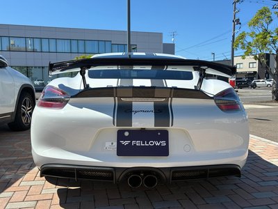 2014 Porsche CAYMAN 照片 6
