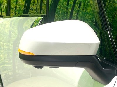 2025 TOYOTA ALPHARD 缩略图 46