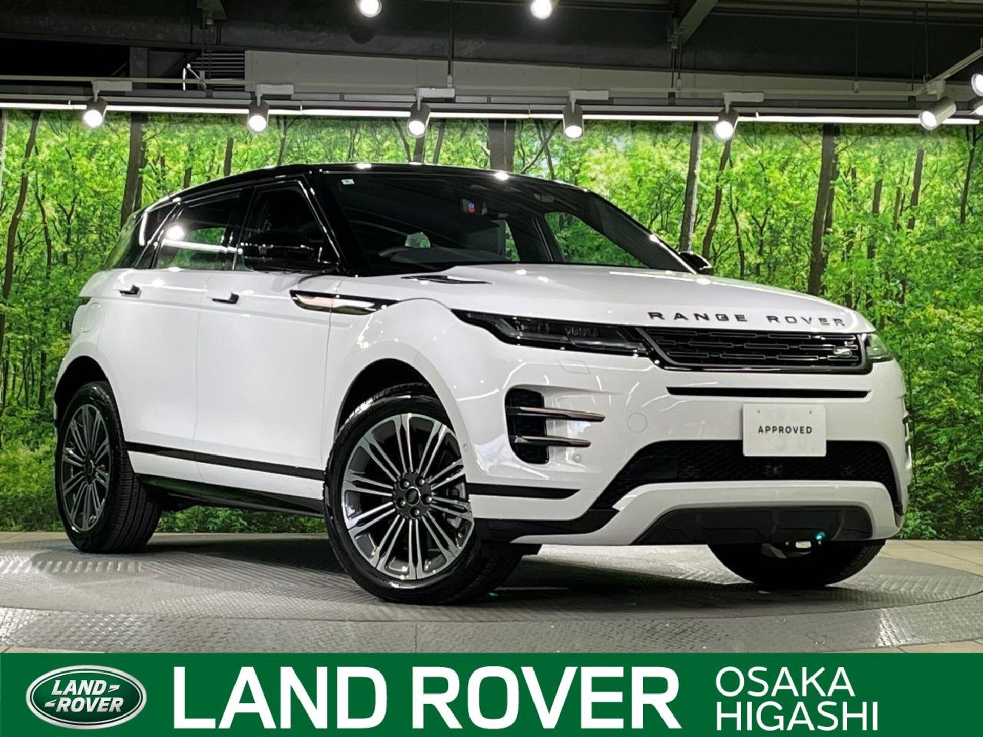 LAND ROVER RANGE ROVER EVOQUE - View 1