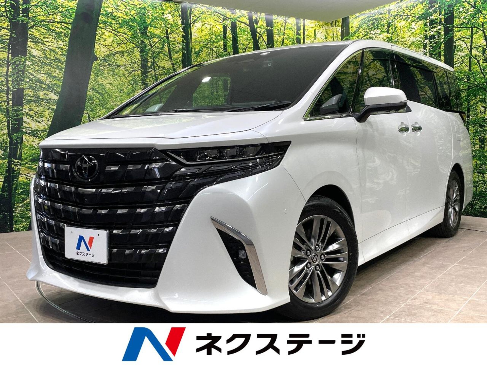 TOYOTA ALPHARD - View 1