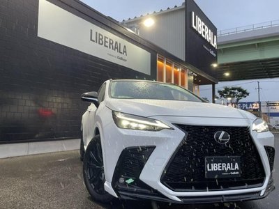 صورة مصغرة 31 لـ 2024 Lexus NX