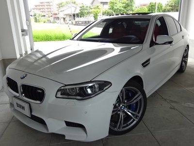 2013 BMW M5 缩略图 50